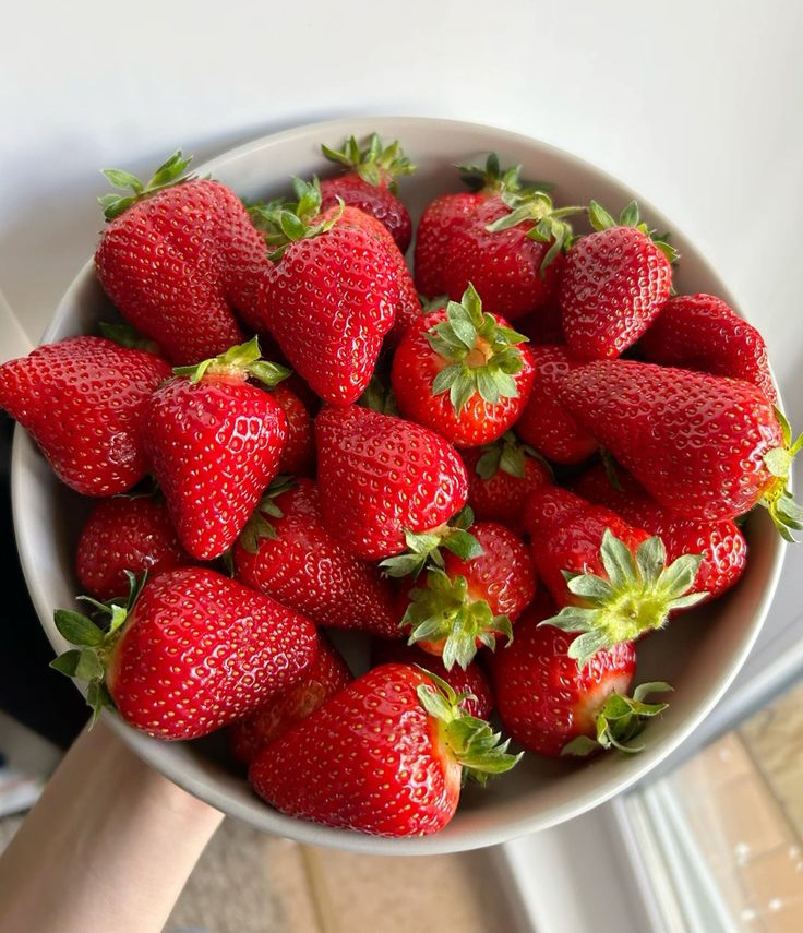 Врожай полуниці